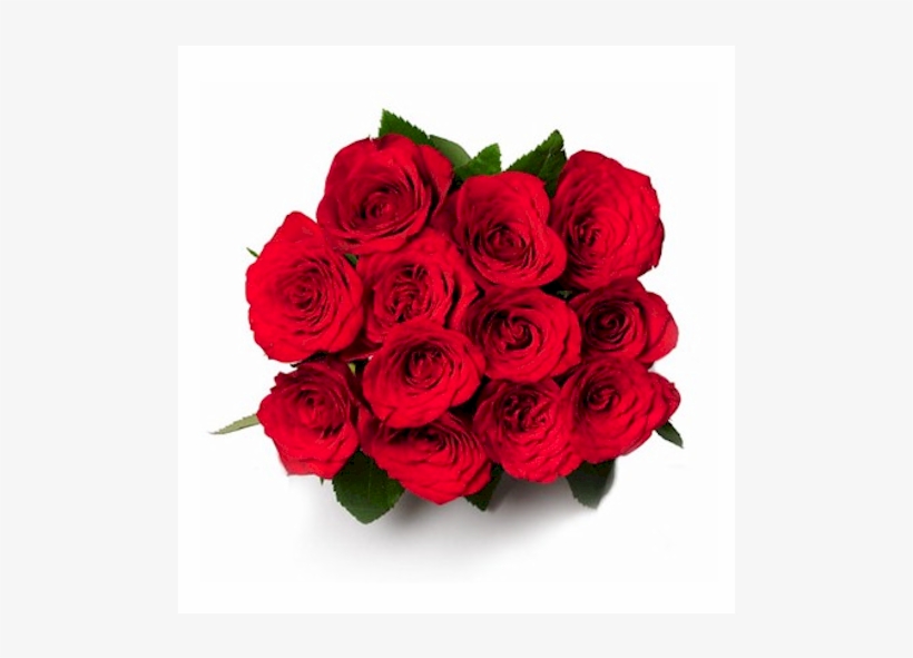 Little Treasure - 12 Roses - Good Morning Gift Flower, transparent png #8529802