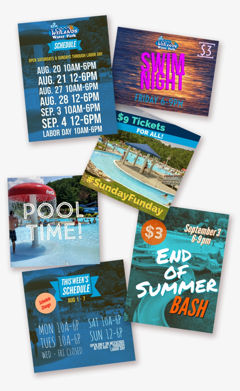 Wetlands Designs - Flyer, transparent png #8530397