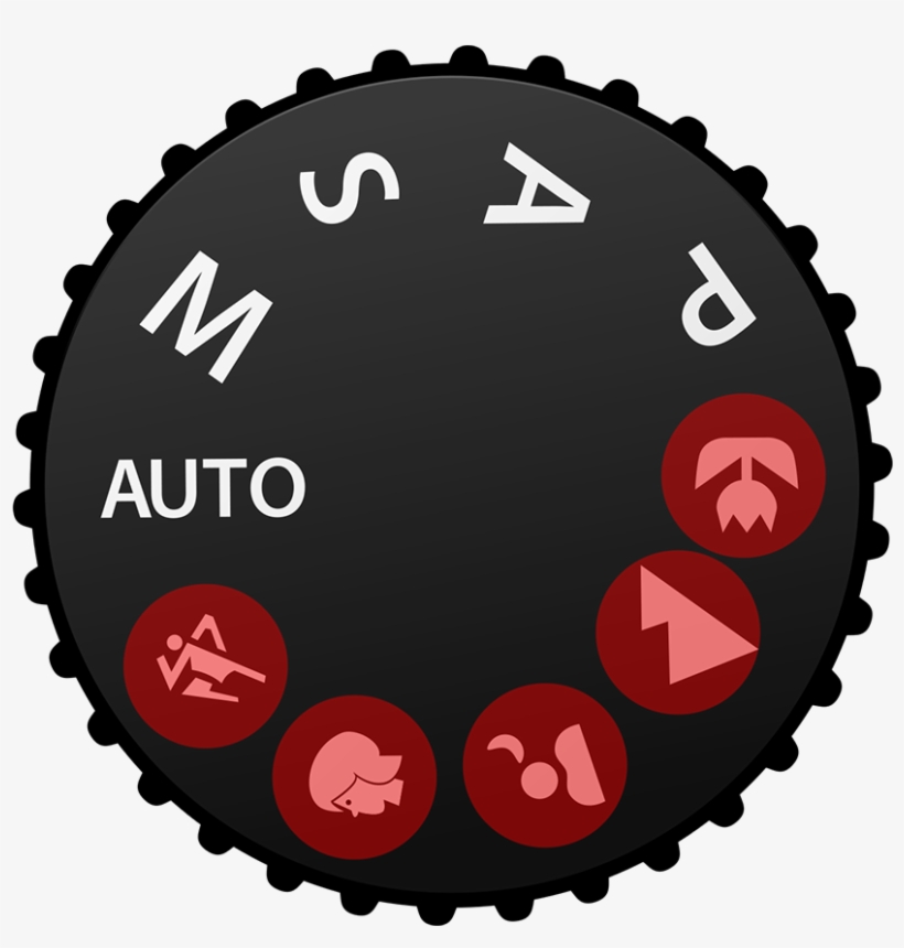 Camera Icon Modes - Landscape Mode On Camera, transparent png #8531479