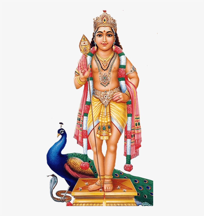 Lord Kartikeya - God Murugan, transparent png #8531817
