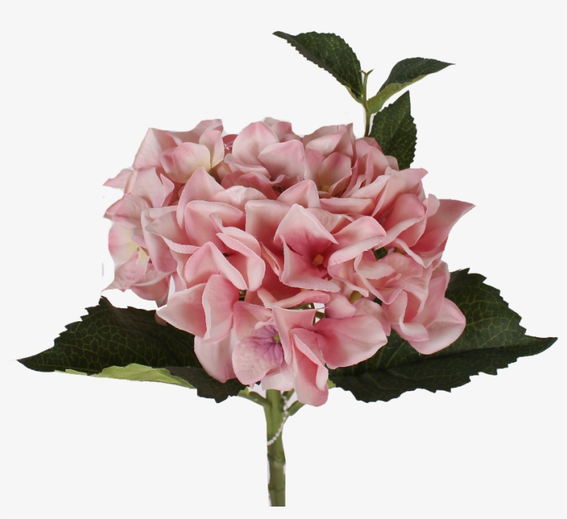 Bouquet, transparent png #8534084