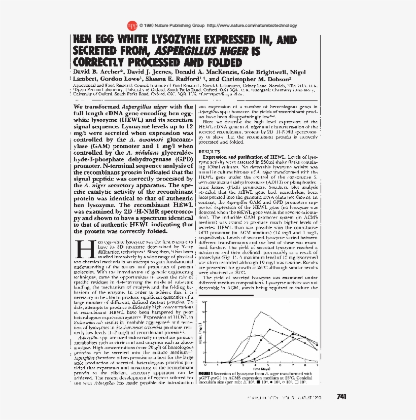 Hen Egg White Lysozyme Expressed In, And Secreted From, - Document, transparent png #8534203