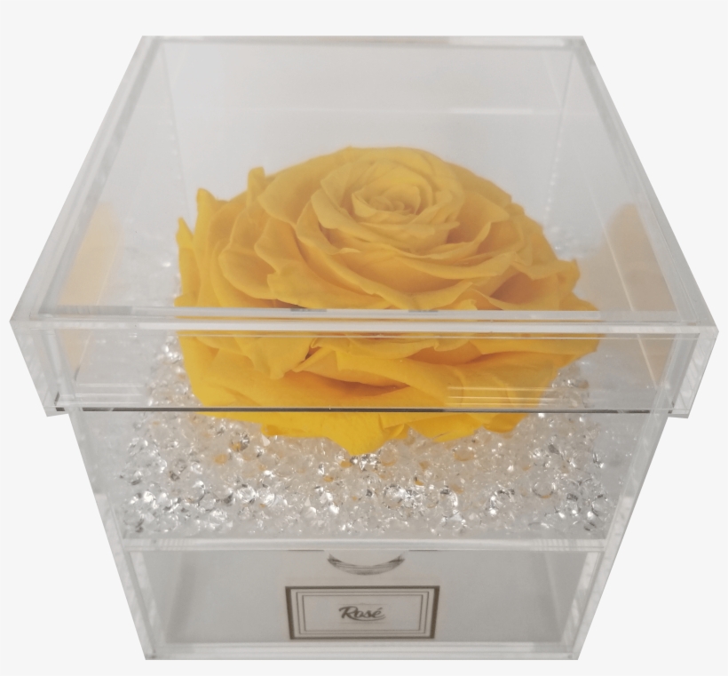 Single Rose Keepsake Box, transparent png #8534713