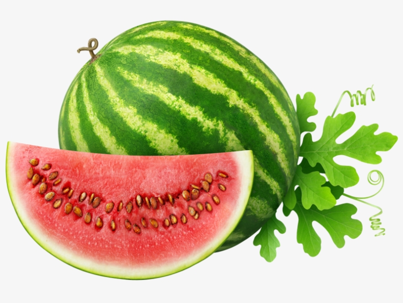 Water Melon - Melon Picture Of Fruits, transparent png #8534899