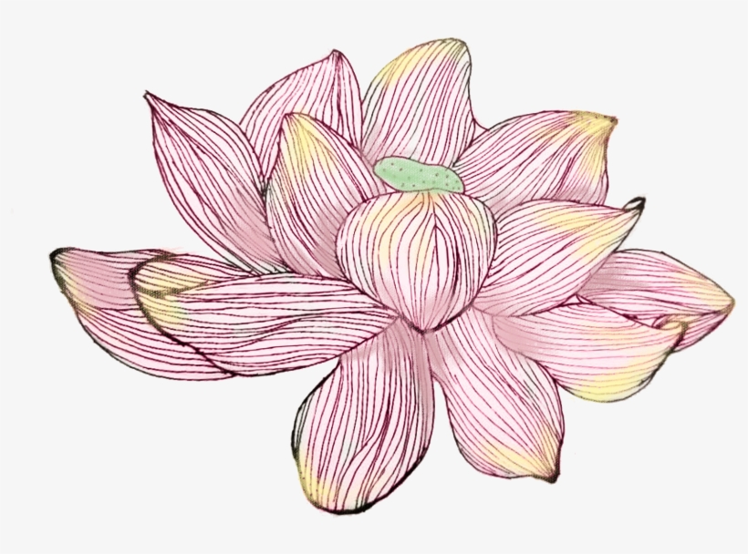 Hand Painted Writing Poetry Watercolor Lotus Png And - Sacred Lotus, transparent png #8535219