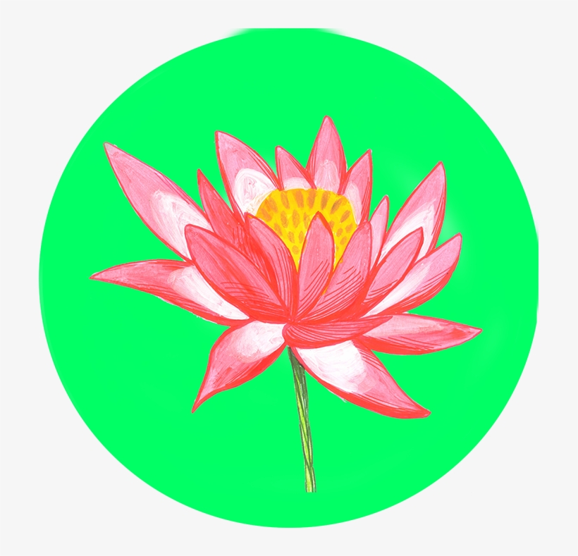 Download Png - Sacred Lotus, transparent png #8535682