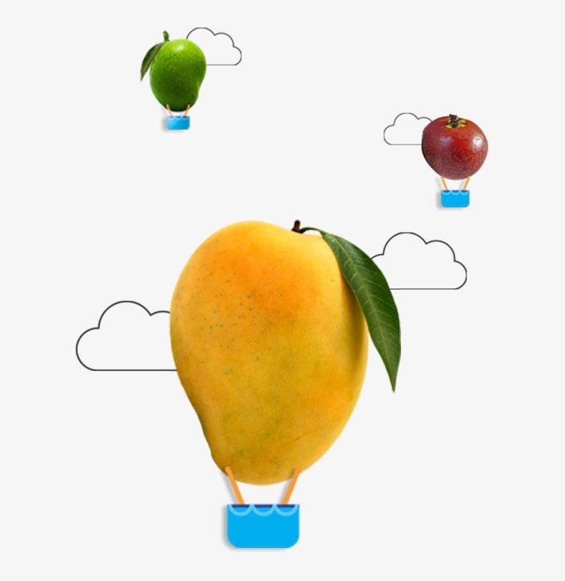 Read More - - Bitter Orange, transparent png #8535814