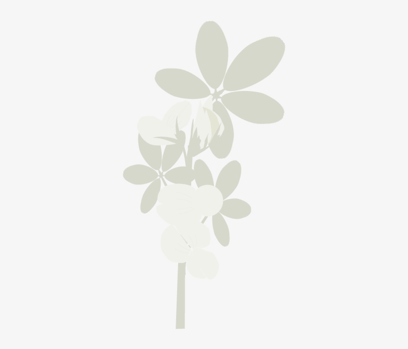 Recurso-lotus - Illustration, transparent png #8535867