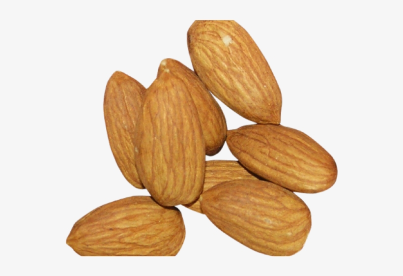 Almond Clipart Dry Fruit - Almond Pics Download, transparent png #8536367