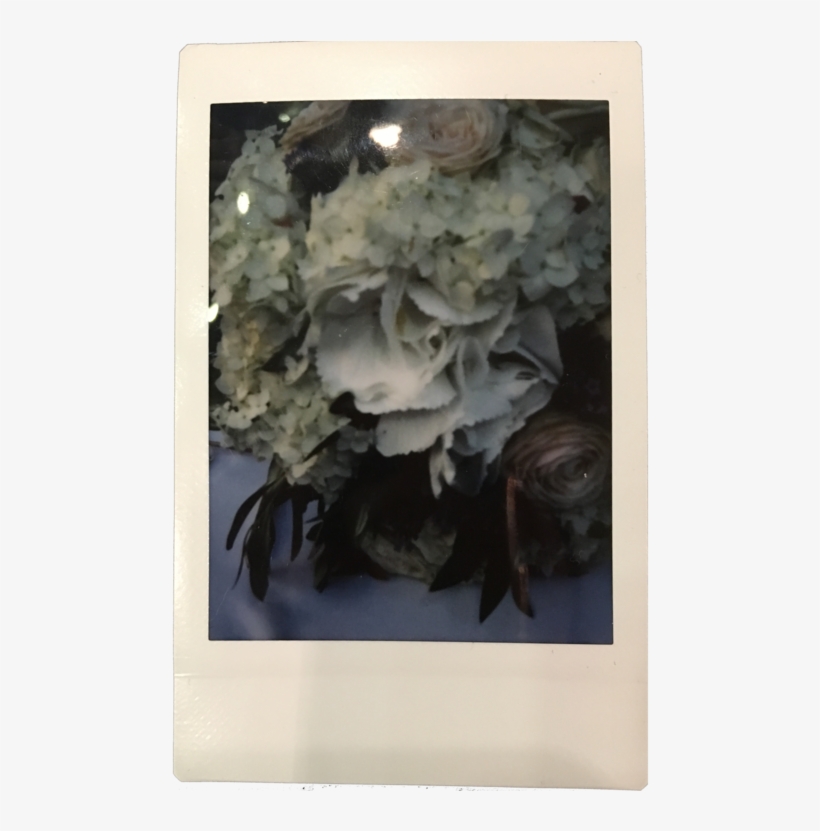 The One To Catch Šolta, Croatia - Bouquet, transparent png #8536850