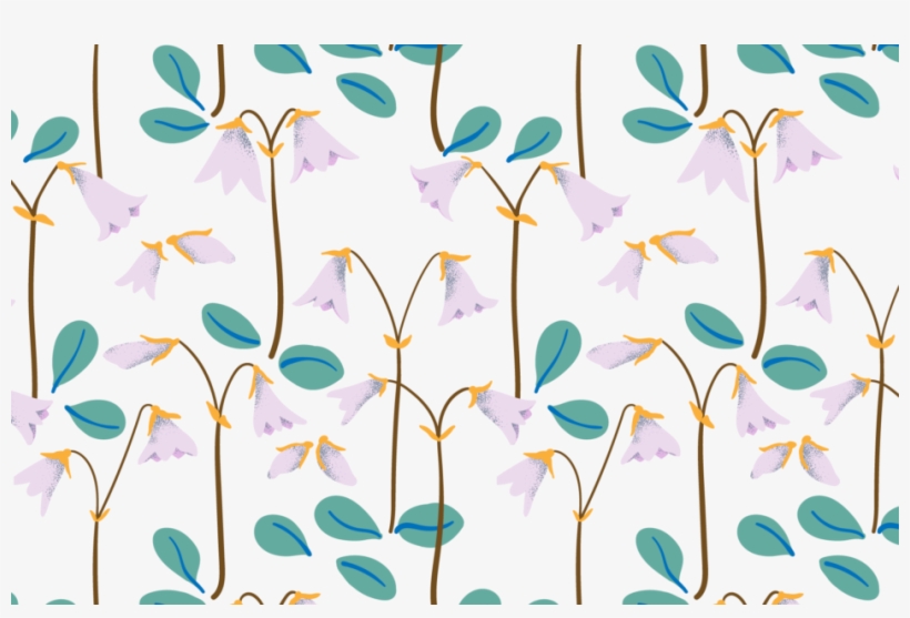 Lisa Edoff Design, transparent png #8536982