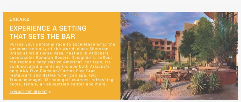 He Specializes In The Strategy, Governance, And Economics - Palm Tree, transparent png #8537111