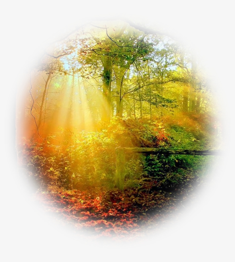 Nature Desktop Backgrounds - Autumn, transparent png #8538075