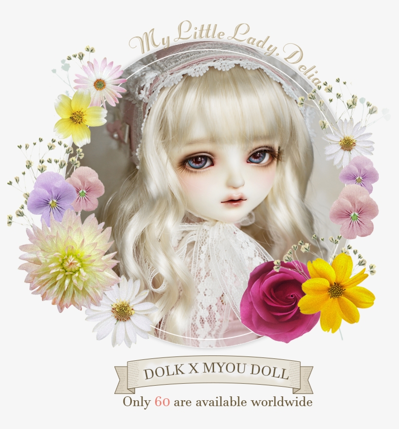 Limited Items New Mini Delia A Collaboration Of Dolk - Chrysanths, transparent png #8538504