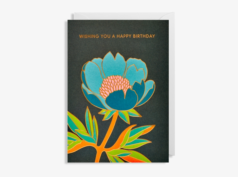 Lagom Flower Birthday Hanna-werning Funky Quirky Unusual - Protea, transparent png #8540599