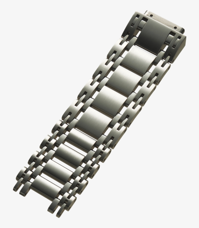 Louisiana Alligator Band With Cites - Chain, transparent png #8542974