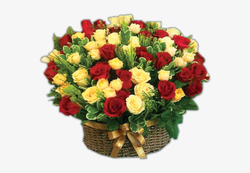 Gof 8001 - Garden Roses, transparent png #8543386