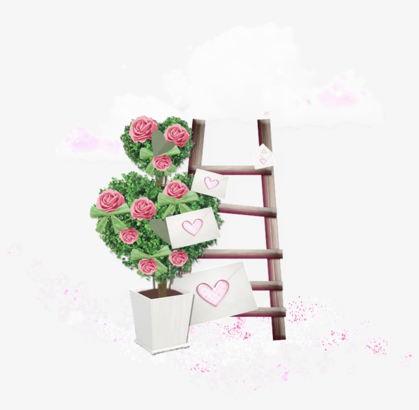 Floral Love Flower Transparent - Shelf, transparent png #8543438