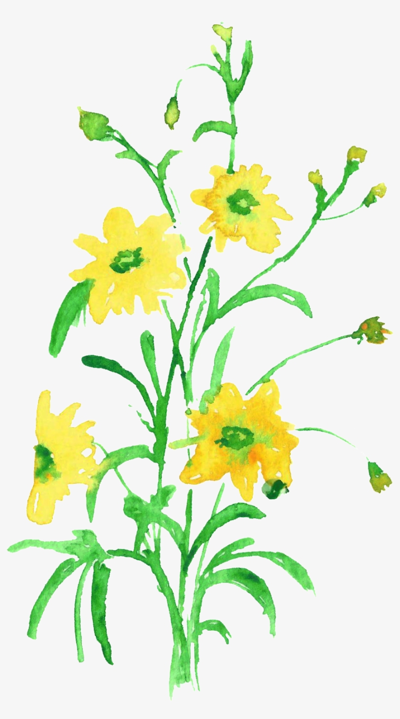 Water Yellow Flower Branch Transparent Decorative - Artificial Flower, transparent png #8543481