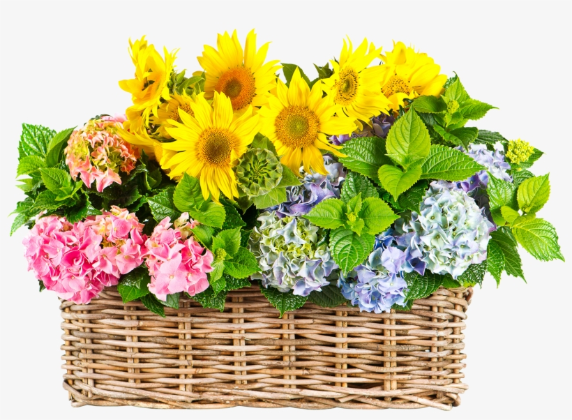Sunflower In Basket - Flower On Basket Png, transparent png #8543697