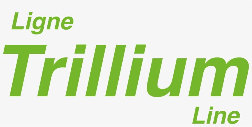 Green Check Mark Trillium Line - Graphic Design, transparent png #8544981