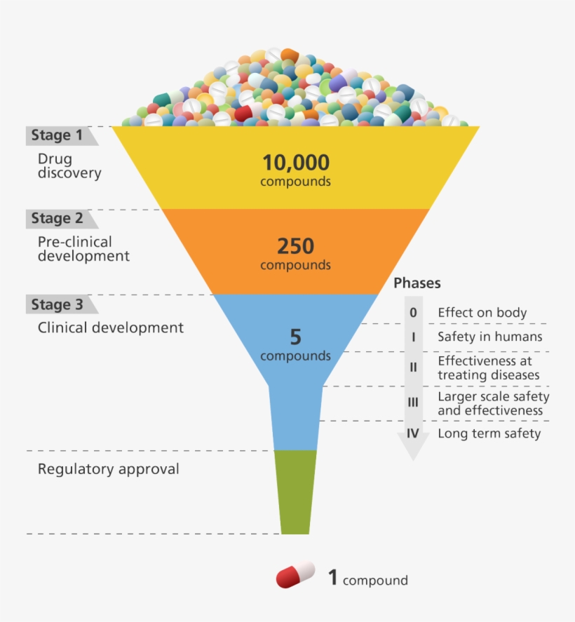 Illustration Showing The Different Stages Involved - Clinical Development Of Drug, transparent png #8545863