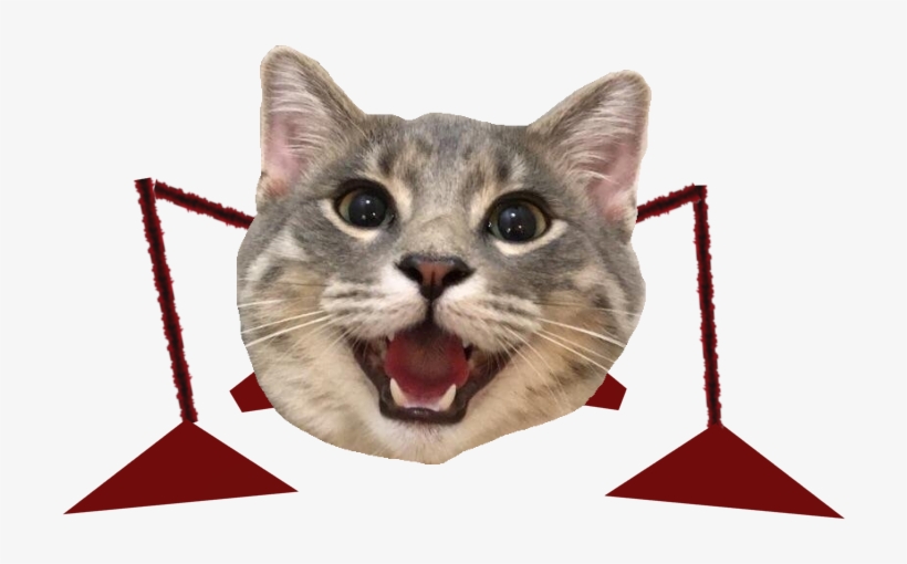 Scuttlebug From Mario 64 But It's Catt - Cat Yawns, transparent png #8546110