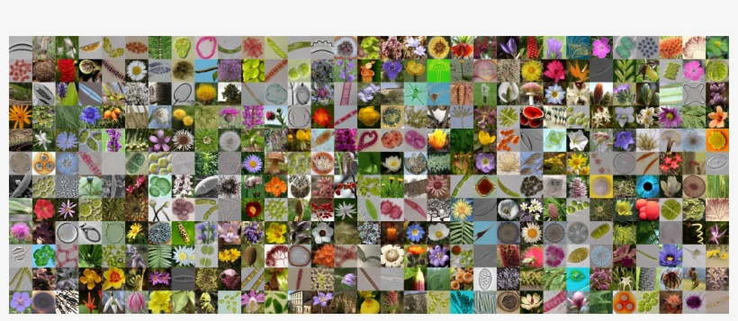 Mosaic Png, transparent png #8546377