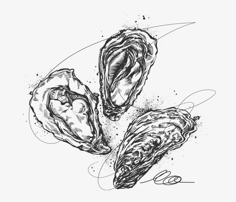 In Addition To Its Grace And Originality, It Stays - Sketch, transparent png #8546736