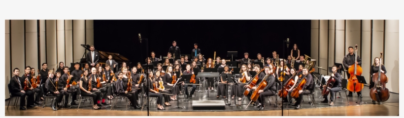 Orchestra Png - Orchestra, transparent png #8546921