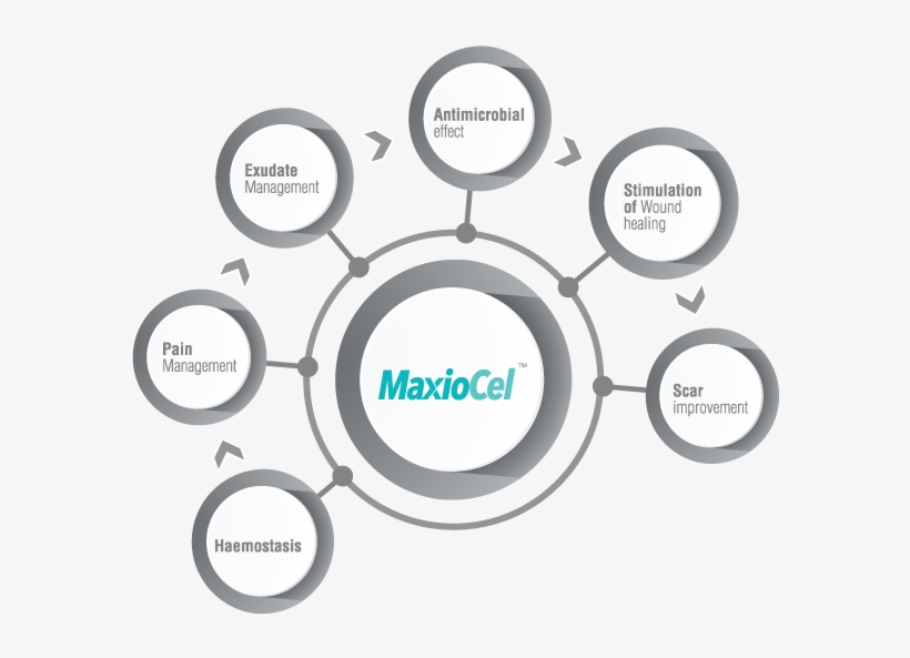 100% Chitosan - Circle, transparent png #8547651