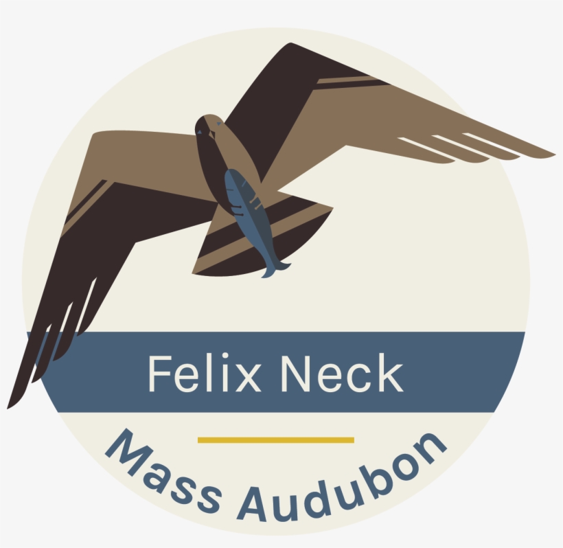 Felix Neck Wildlife Sanctuary Fern & Feather Day Camp - Graphic Design, transparent png #8550512
