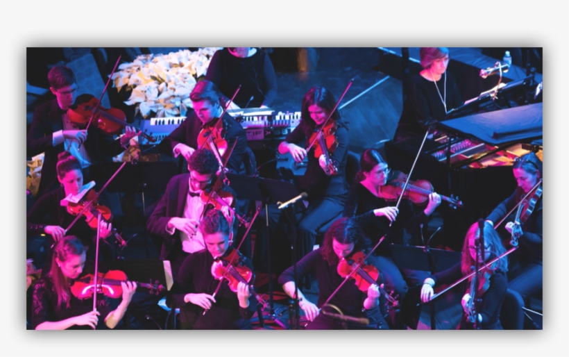The Most Desired Sound Quality When Miking String Instruments - Illustration, transparent png #8554147