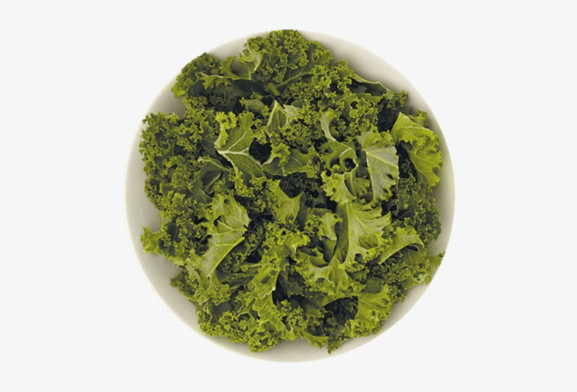 4 Ounce - Sphere, transparent png #8554837