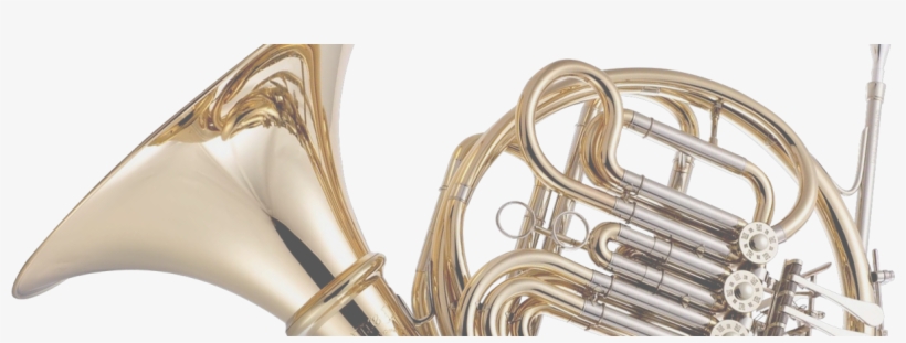 Run By Musicians, For Musicians Worldwide - Sousaphone, transparent png #8555814