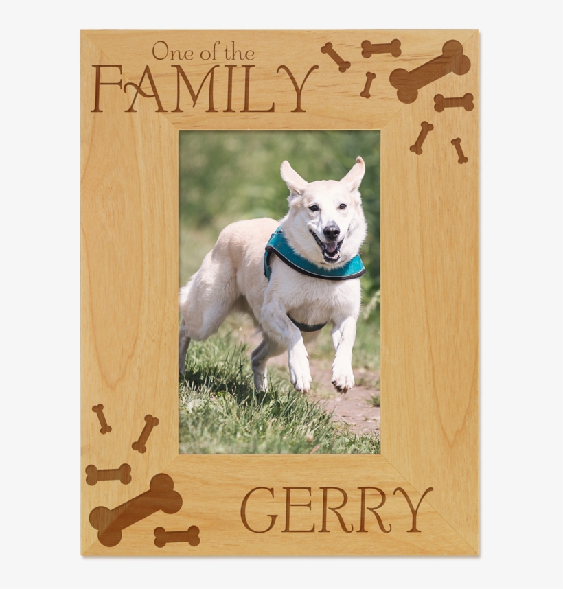 One Of The Family Picture Frame From Giftsin24 - Meaning Of Barking Dogs Seldom Bite, transparent png #8556111