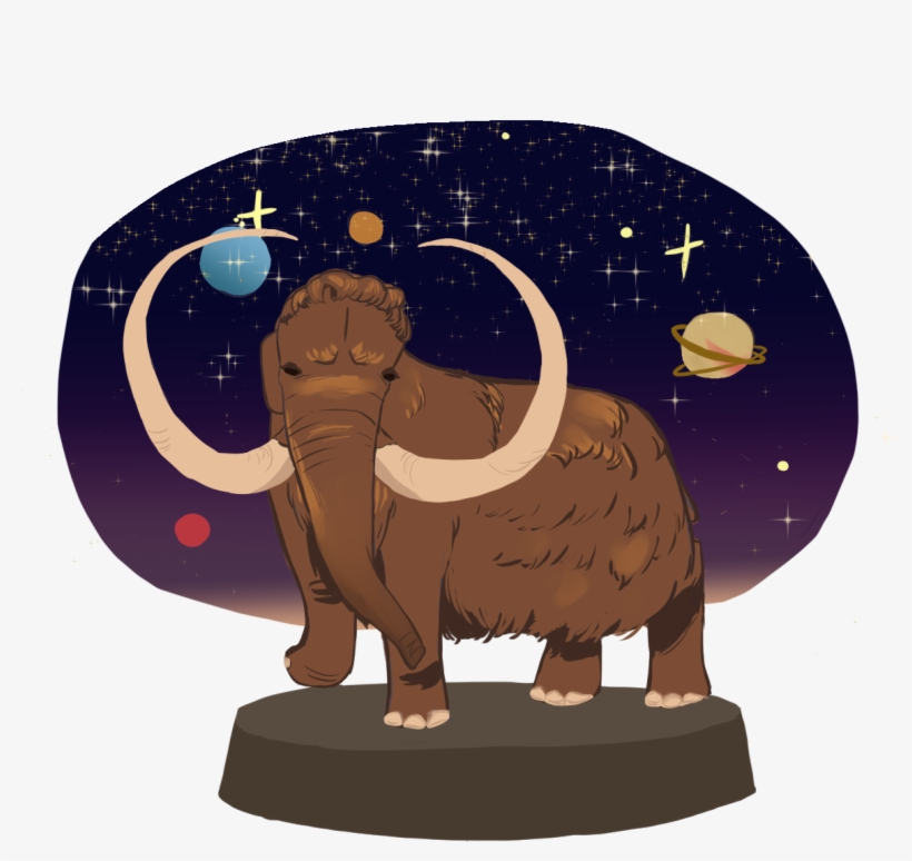 Indian Ox Png, transparent png #8556154