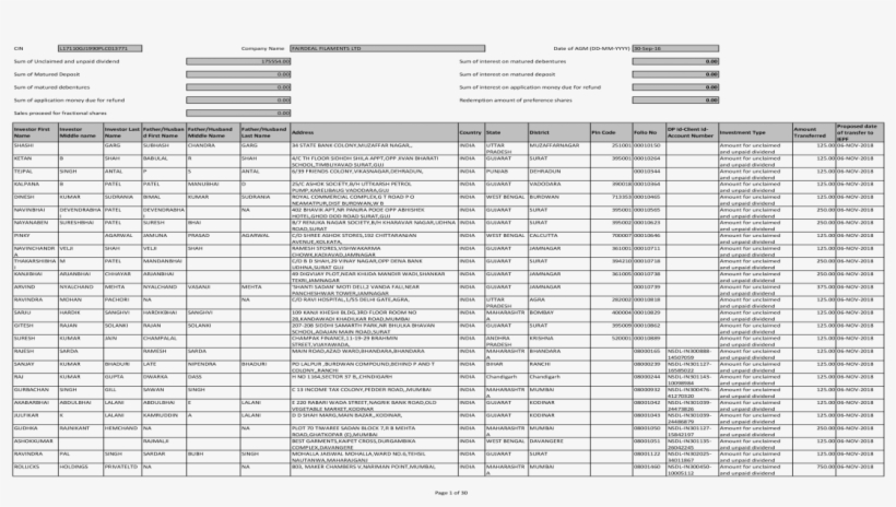 Pdfinvestor First Name Investor Middle Name - Document, transparent png #8556851