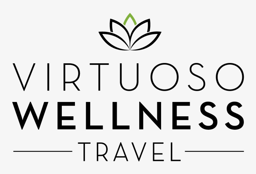 Virwellness Final Logo Mar2017 - Graphics, transparent png #8558204