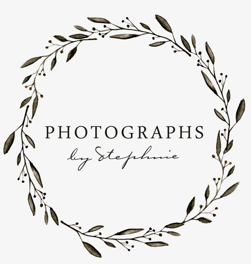 Photographs By Stephanie Looks Like A Great Raleigh - Flamingo With Flower Crown, transparent png #8558423