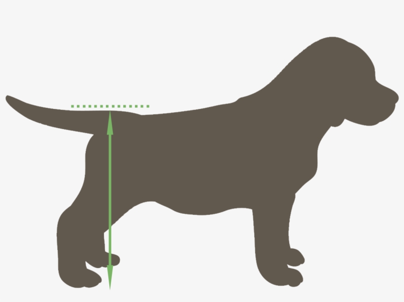 Depending On Your Pet's Current Capabilities And Its - Puppy Vector, transparent png #8558813