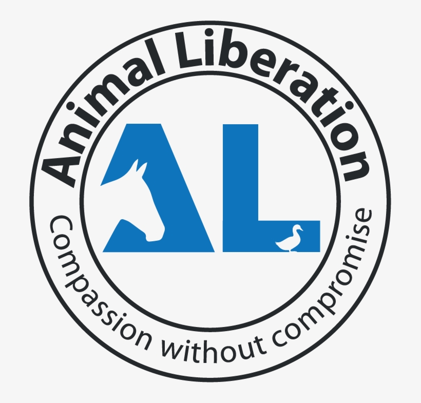 What You Can Do - Wharf House Restaurant, transparent png #8559023