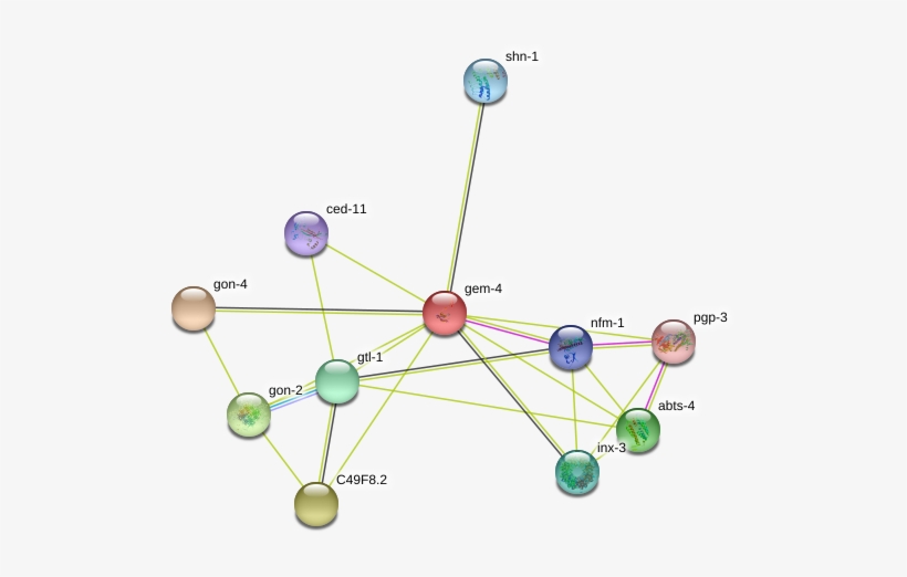 Circle, transparent png #8559289