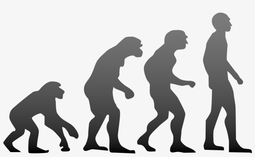 A Dreamers Journey To Life - Evolution Of Humans, transparent png #8559586