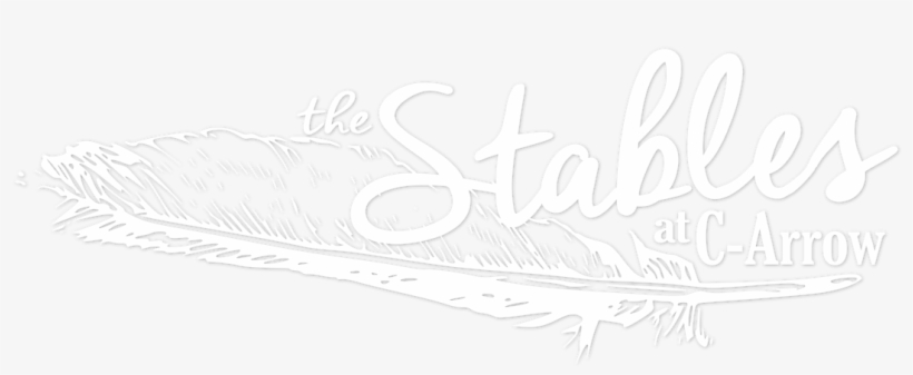 Calligraphy, transparent png #8559863