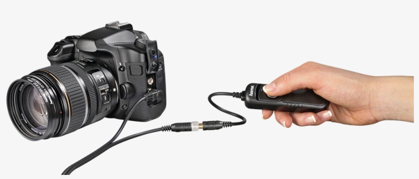 Pressing The Shutter Release Button On The Camera Are - レリーズ, transparent png #8561217