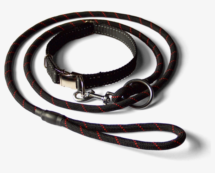 Bodhipuppy Black Collar And Leash Combo - Bracelet, transparent png #8562872