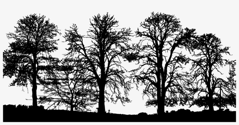 Big Image - Sunset, transparent png #8562953