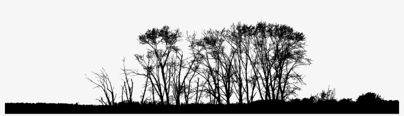 Big Image - Monochrome, transparent png #8563251