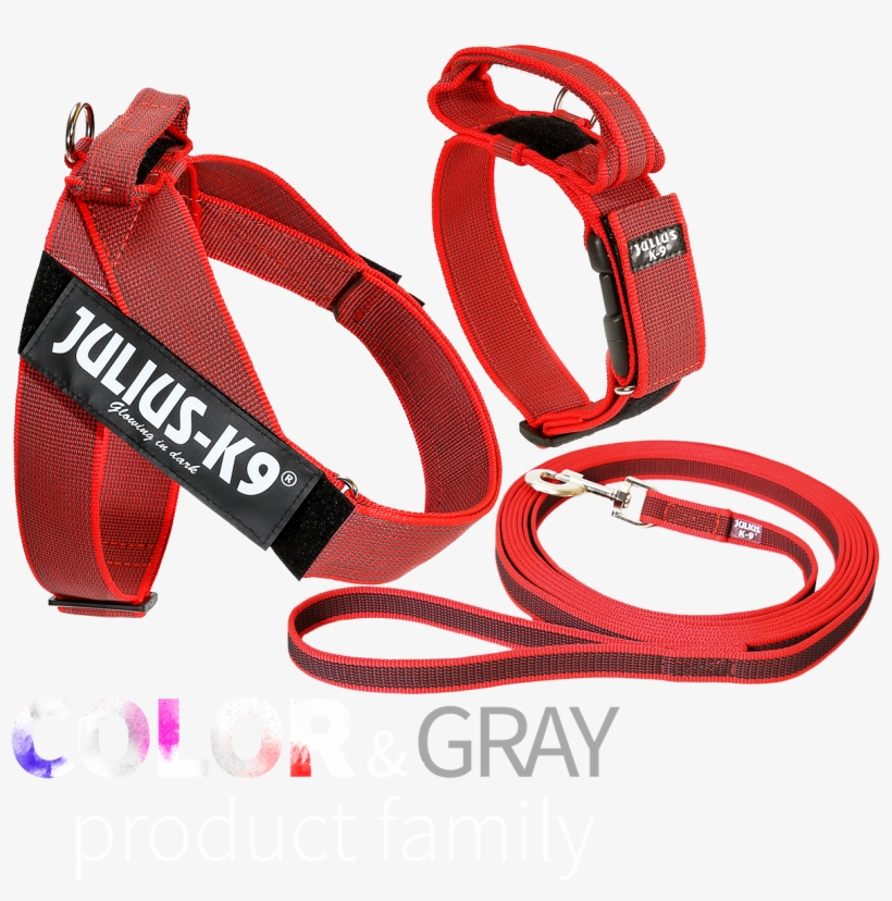 Idc® Color&gray Leash - Julius K9 Belt Sele, transparent png #8563256